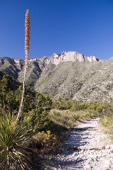 23_McKittrick Canyon_1